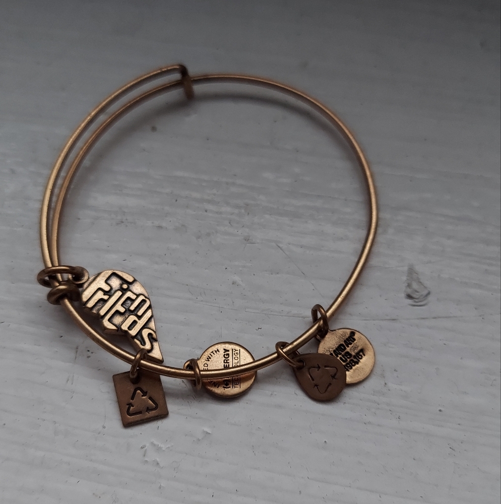 Alex and Ani Gold Charm Bracelet